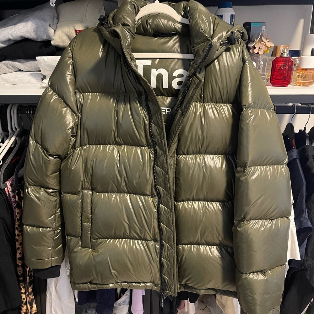 Aritzia men’s down jacket